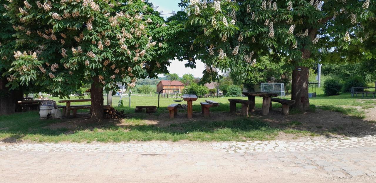 Ubytovani Na Sklepe U Prochazku Pouzdrany Exterior foto