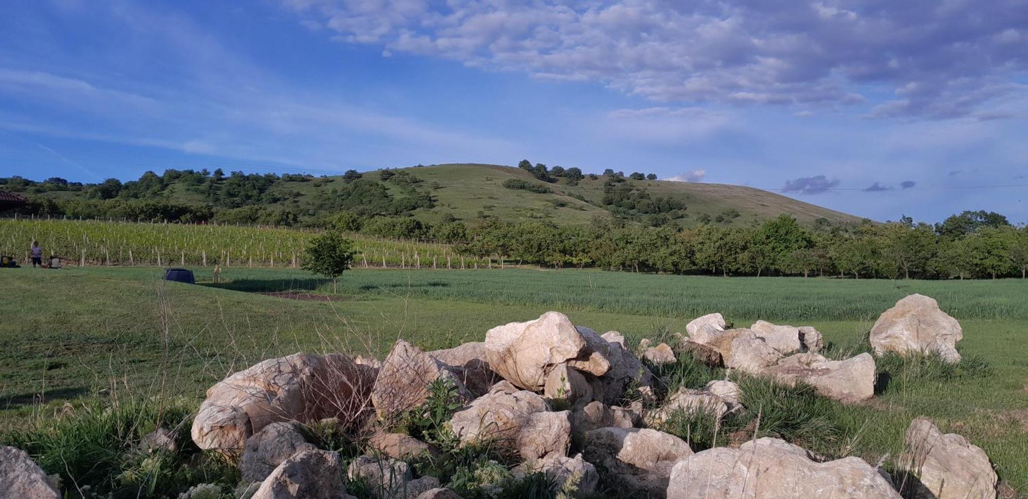 Ubytovani Na Sklepe U Prochazku Pouzdrany Habitación foto